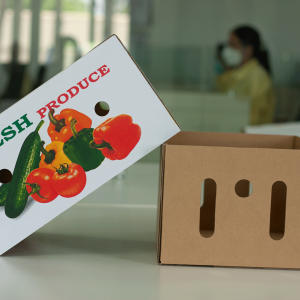 Công ty TNHH King Group 5