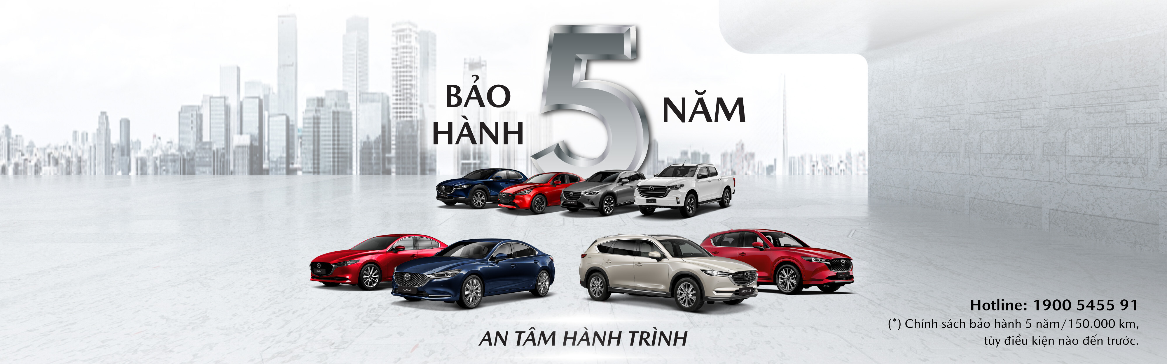 Công Ty TNHH Đầu Tư Ô Tô Ninh Bình 5