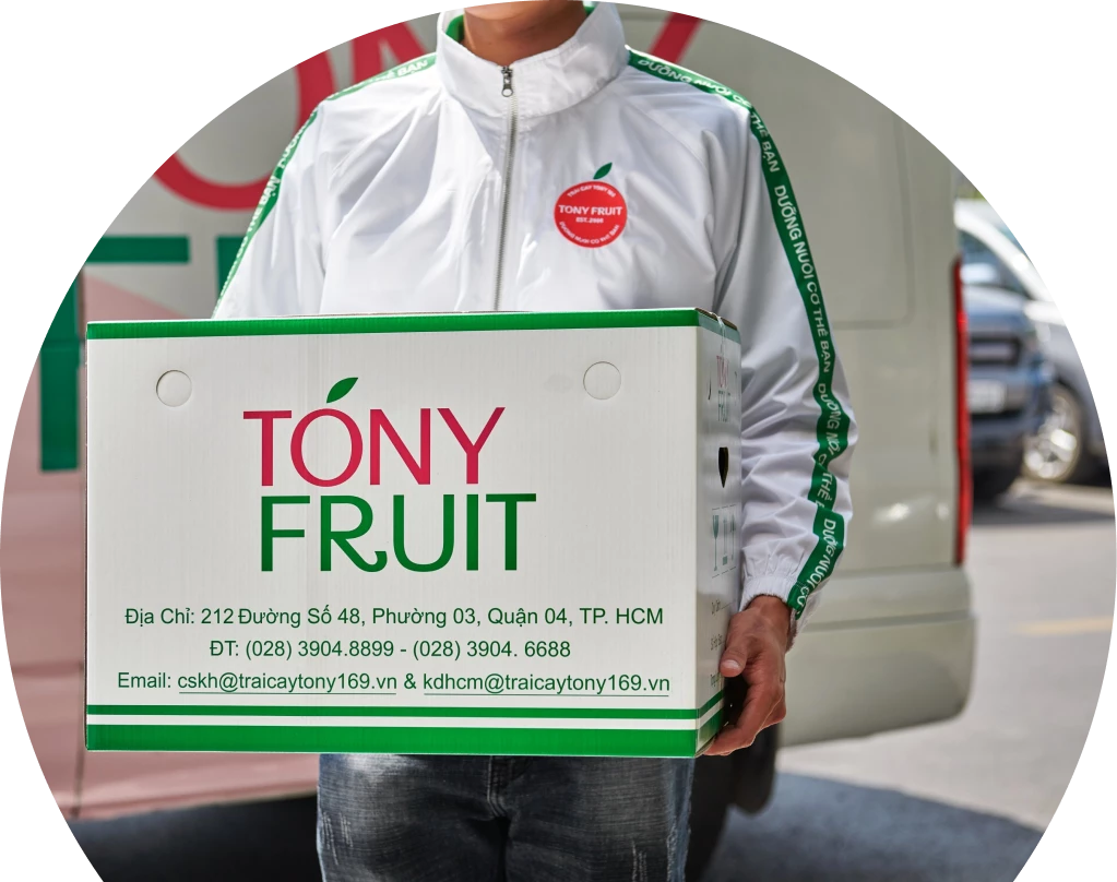 Tony Fruit 7