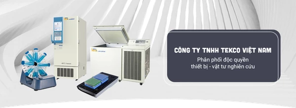 CÔNG TY TNHH TMDV TEKCO 10