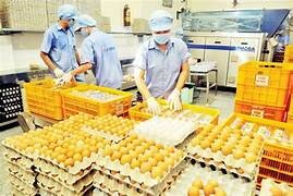 Thực Phẩm Vĩnh Lộc Vilfood 1