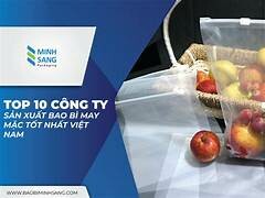 Bao Bì Việt 6