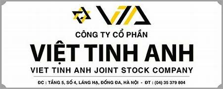 Việt Tinh Anh 2
