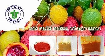 Công ty Rau quả Thực phẩm An Giang 1