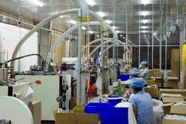 Bao Bì Saha Dharawat 6