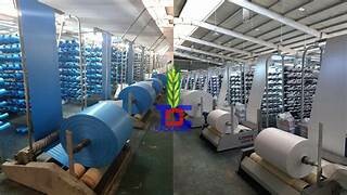 Bao Bì Saha Dharawat 5