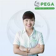 XE ĐIỆN PEGA LTT 9