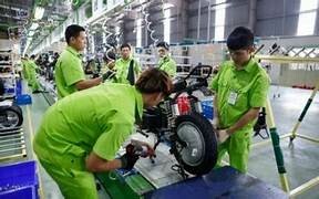 XE ĐIỆN PEGA LTT 8