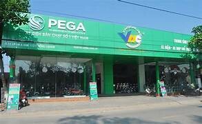 XE ĐIỆN PEGA LTT 6