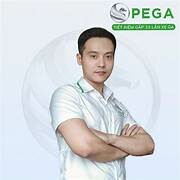 XE ĐIỆN PEGA LTT 2