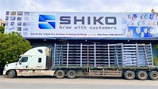 Shiko Việt Nam 14