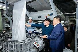 Thang Máy Đức Anh 4