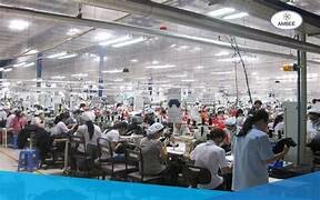 New World Fashion Group 1