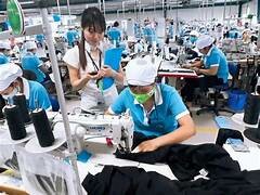 Hla Garment (Việt Nam) 6