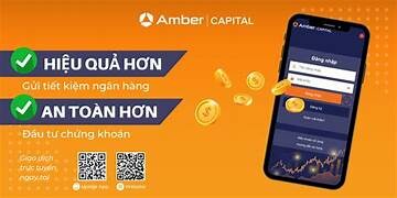 Amber Capital 9