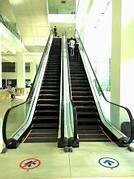 Thang Máy OTIS Việt Nam 4