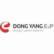 Điện Tử Dong Yang 8