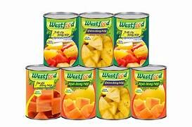 SẢN XUẤT THƯƠNG MẠI VINA FNV 3