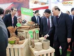 Tập Đoàn Visimex 6