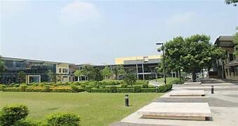 United Nations International School 8