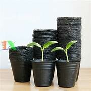 Công Ty Nhựa Cây Trung Bộ 1