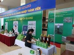 BÁCH HÓA QUANG MINH 6