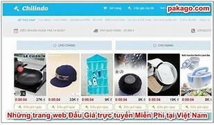 PAKAGO VIỆT NAM 4