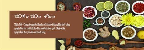 CÔNG TY CỔ PHẦN DƯỢC PHẨM THIÊN TUẾ 6