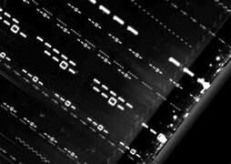 CÔNG TY CỔ PHẦN COMMUDE VIỆT NAM 3