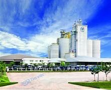 Công ty cổ phần Asiana Việt Nam 8