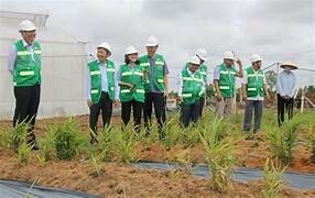 Công ty CP Én Vàng Quốc Tế 10