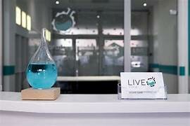 Công Ty TNHH Live Corporation 5