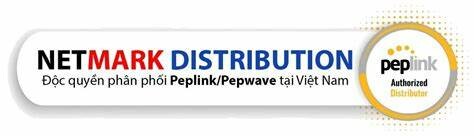 CÔNG TY CỔ PHẦN PHÂN PHỐI NETMARK 7