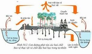 CÔNG TY TNHH HÓA CHẤT TRƯỜNG PHÁT 10