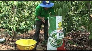 Phân Bón Minh Phát 6