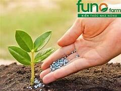 Phân Bón Minh Phát 3