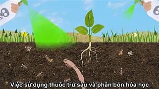Phân Bón Minh Phát 1