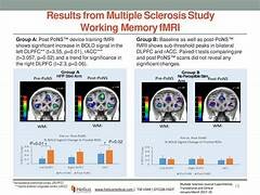 Junior Product Owner 2
