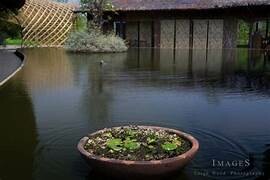 Landscape Association 4