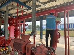 Việt Nam Aratech 2