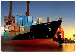 Eusu Logistics Việt Nam 7