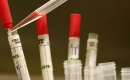 VietStar Biomedical Research 2