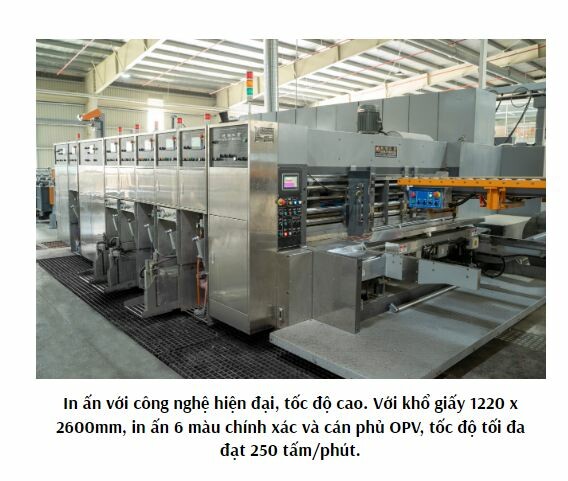 Công Ty TNHH Tín Thành 1