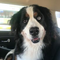 IFB International FreightBridge VietNam Co., Ltd 10