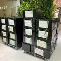 IFB International FreightBridge VietNam Co., Ltd 6