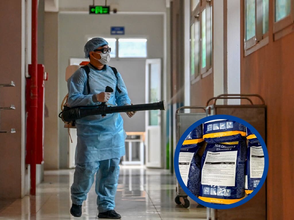 Thương Mại Dịch Vụ Âu Châu (Euro Pest Control) 11