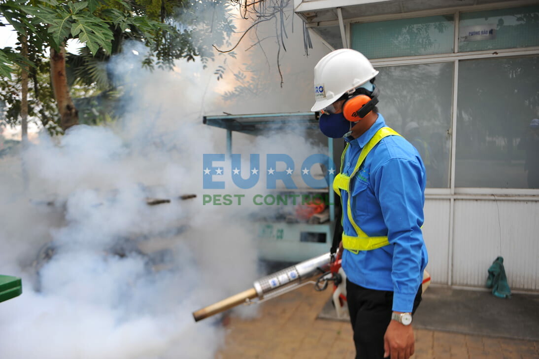Thương Mại Dịch Vụ Âu Châu (Euro Pest Control) 10