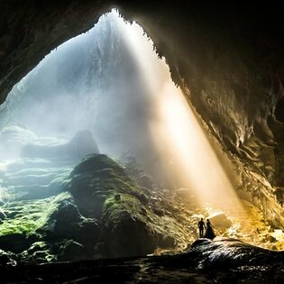 Oxalis Company Limited 7