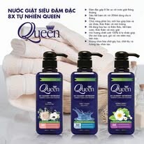 Truyền Thông Hoa Mặt Trời 2