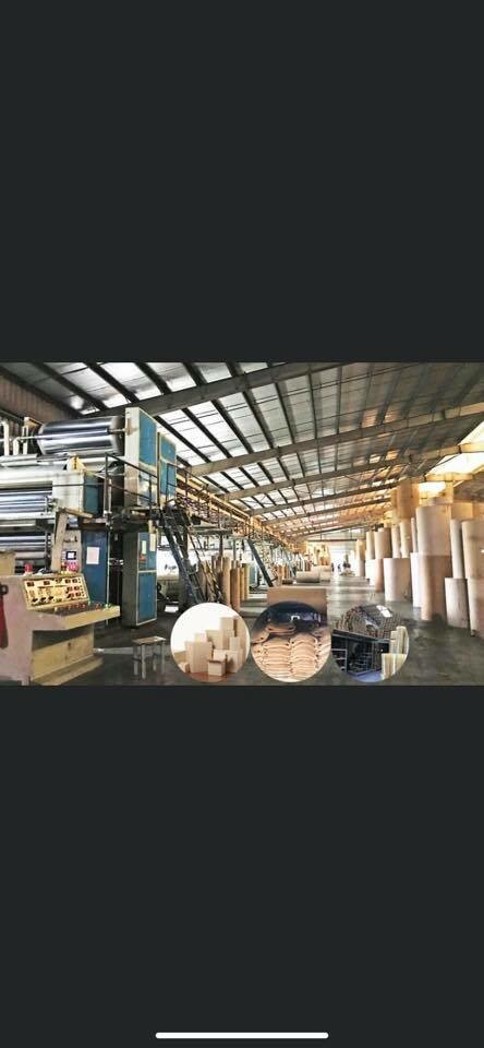 Bao Bì Tân Thành Đạt 11